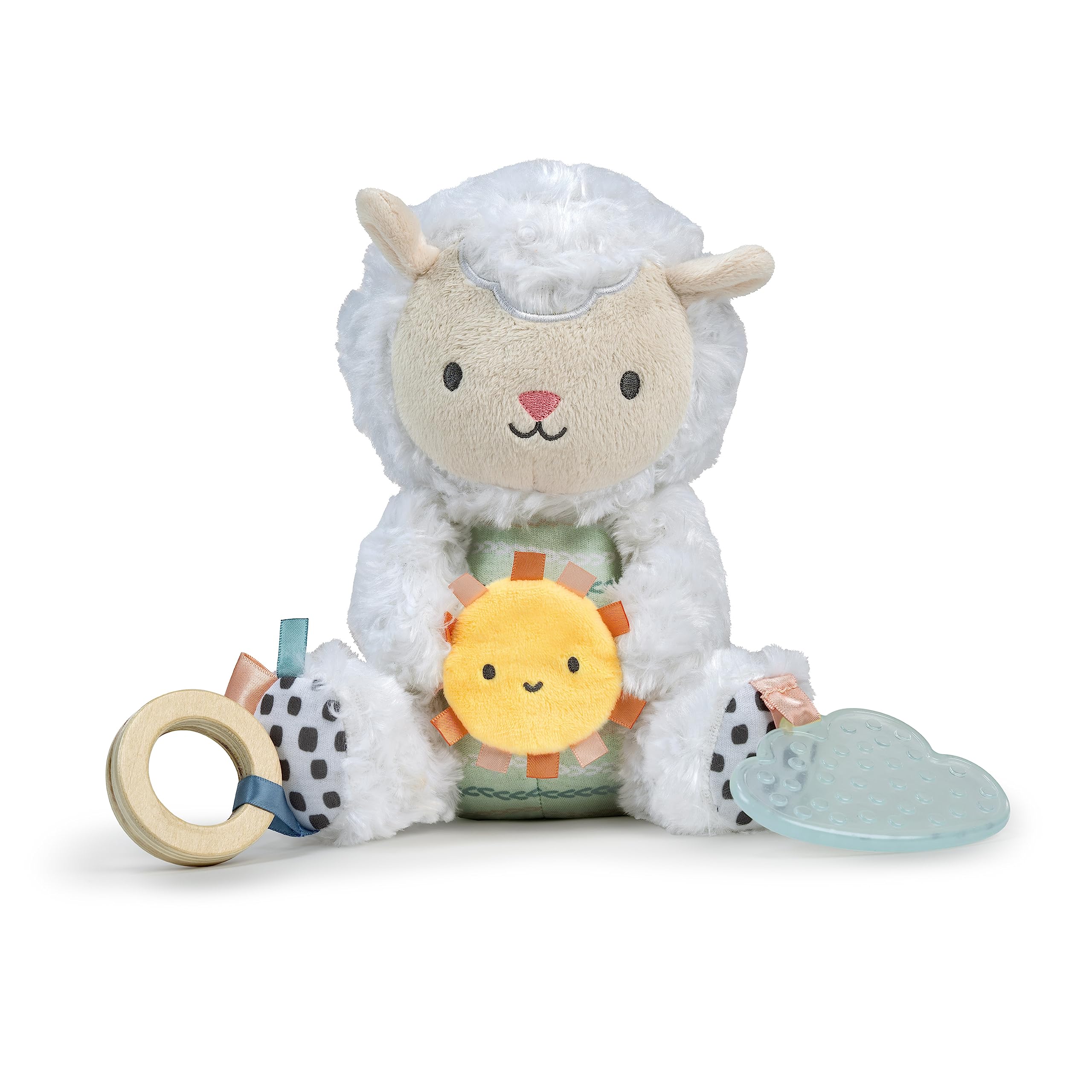 Ingenuity Premium Soft Mini Bean Bag Plush, Nate The Teddy Bear, Ages Newborn and up.
